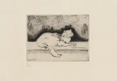 Angorakatten av Marc Gonthier