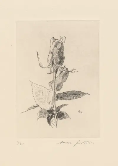 Rose en bouton, toute droite von Marc Gonthier