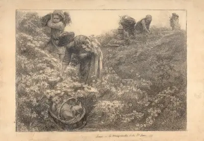 June; the daisies of the Saint John av Marie Bracquemond