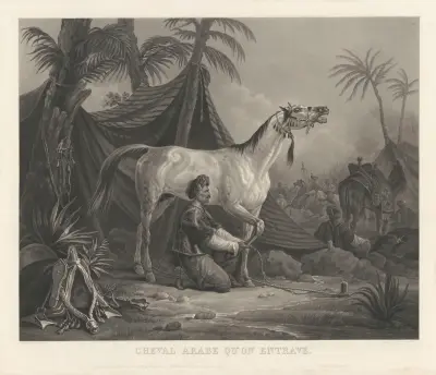 Arabisk häst som tjudras (efter Carle Vernet) av Jean-Pierre-Marie Jazet