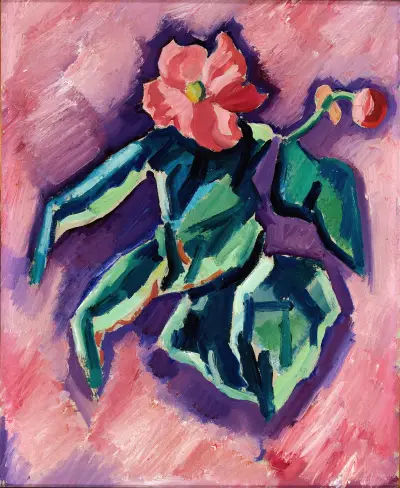 Pink Begonias av Marsden Hartley