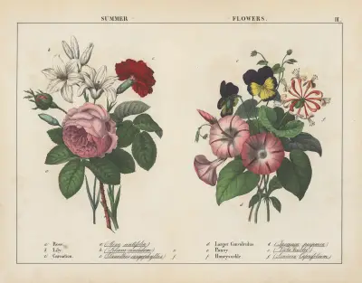 Summer Flowers av Charlotte Mary Yonge