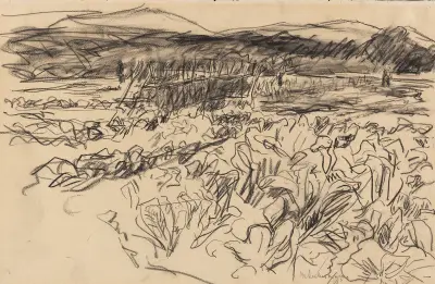 Kohlfeld av Max Liebermann