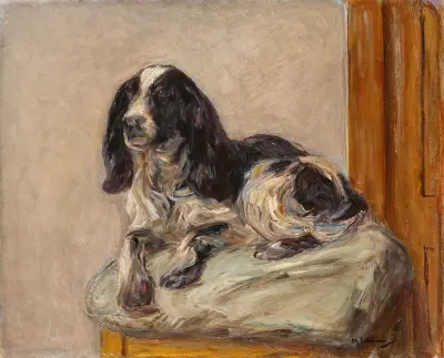 Liggande spaniel av Max Liebermann