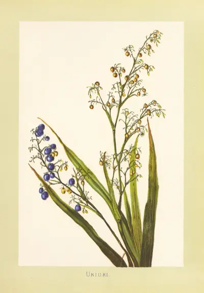Ukiuki von Isabella McHutcheson Sinclair