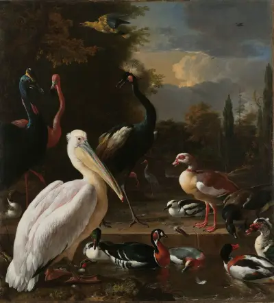 A Pelican and other Birds near a Pool, Known as ‘The Floating Feather’ av Melchior d'Hondecoeter