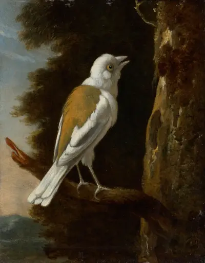 A study of a helmetshrike on a branch av Melchior d'Hondecoeter