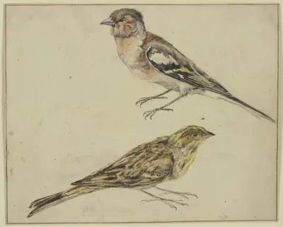 Ein Distelfink und ein Hänfling av Melchior d'Hondecoeter