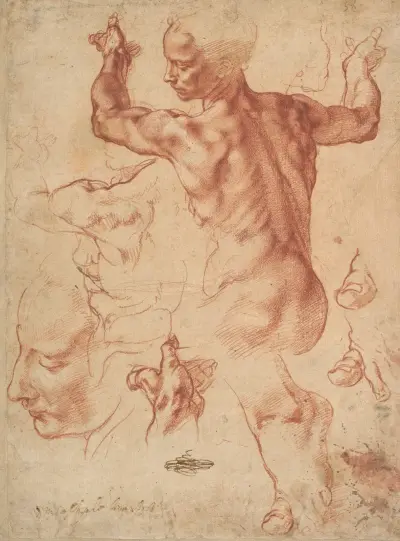 Studien zur Libyschen Sibylle von Michelangelo