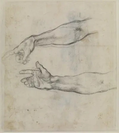 Studien eines ausgestreckten Arms für das Fresko „Die Trunkenheit Noahs“ in der Sixtinischen Kapelle von Michelangelo