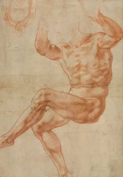 Studie für den nackten Jüngling über dem Propheten Daniel von Michelangelo