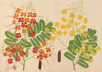 No inscriptions, 1840 – nr 2 av Miss Gough