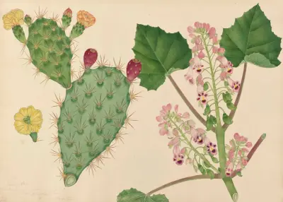 The Prickly Pear, A jungle plant av Miss Gough