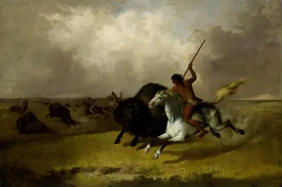 Buffalo Hunt on the Southwestern Prairies av John Mix Stanley