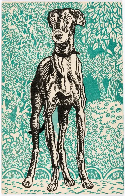 Nr. 678: Windhund (Greyhound) av Moriz Jung