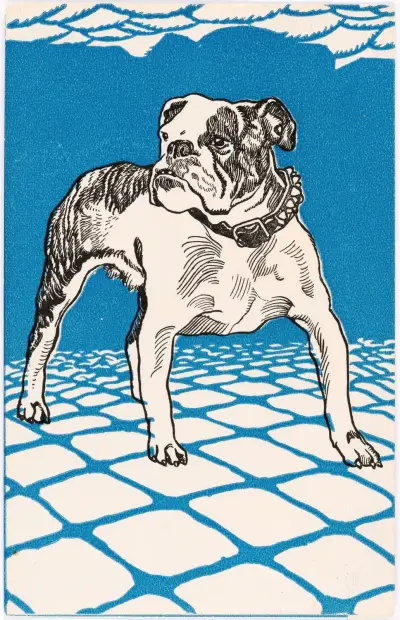 Nr. 680: Bulldogge av Moriz Jung