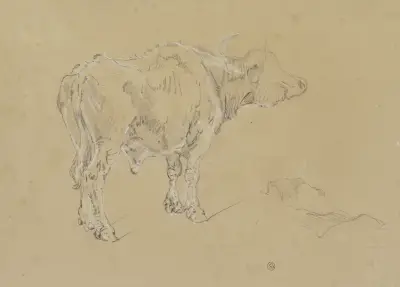 A buffalo, 1845 av Johann Nepomuk Rauch