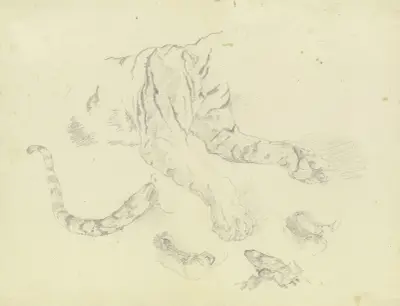 En tiger av Johann Nepomuk Rauch