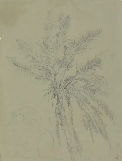Palm tree in Salerno av Johann Nepomuk Rauch