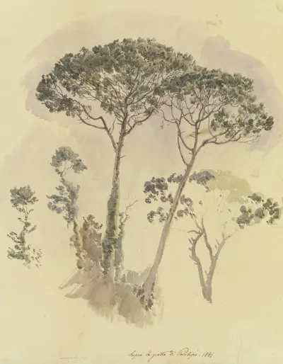 Pinien oberhalb der Grotte von Posilipo av Johann Nepomuk Rauch
