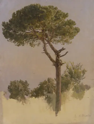 Pinienbaum bei S. Nicola da Tolentino in Rom av Johann Nepomuk Rauch
