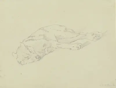 Sleeping wolf av Johann Nepomuk Rauch