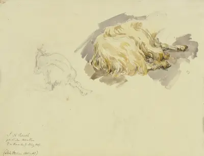 Dwie kozy, Johann Nepomuk Rauch