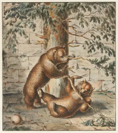 Der Bärengraben in Bern av Franz Niklaus König