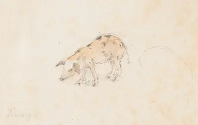 Studie av en grisunge av Franz Niklaus König