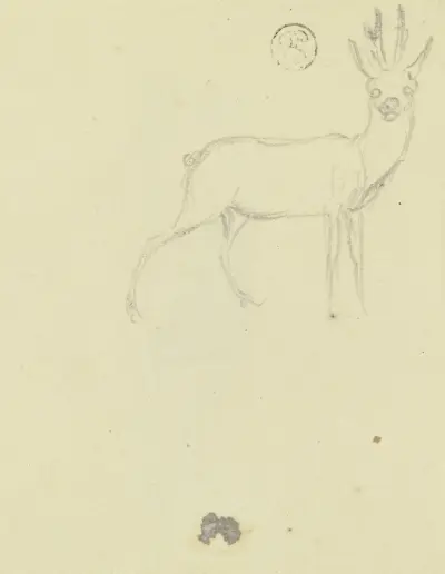 Hirsch von Daniel Nikolaus Chodowiecki