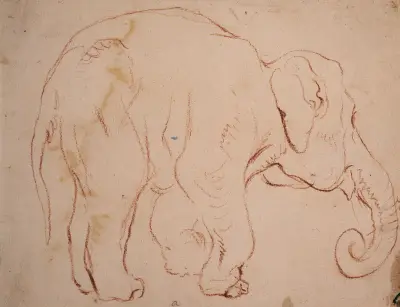 Stående elefant av Daniel Nikolaus Chodowiecki
