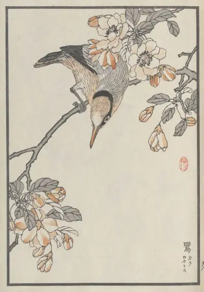 Bairei hyakuchō gafu. Ten Pl.15 av Kōno Bairei