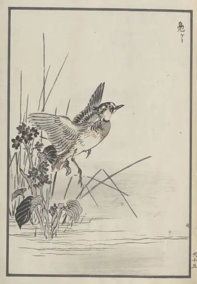 Bairei hyakuchō gafu. Ten Pl.29 av Kōno Bairei