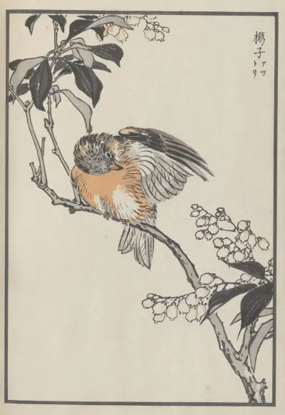 Bairei hyakuchō gafu. Ten Pl.30 av Kōno Bairei
