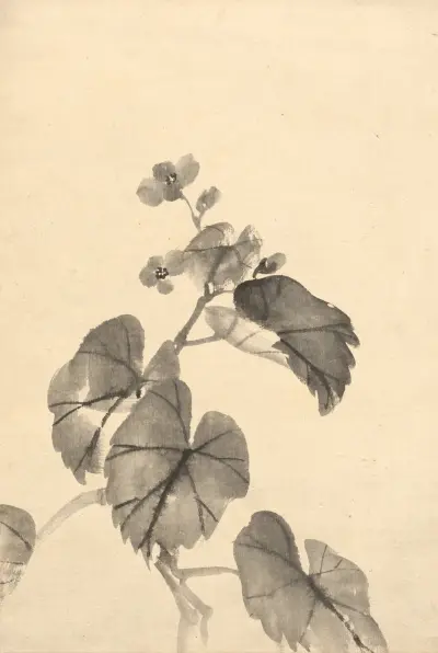 Branch of Begonia in Bloom av Kōno Bairei
