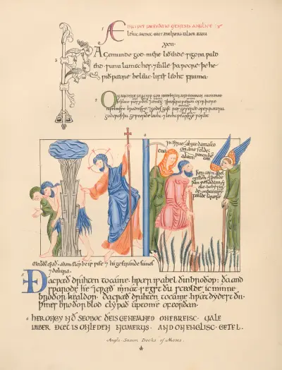 Anglo-Saxon Books of Moses av John Obadiah Westwood