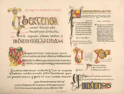 Irish MSS II av John Obadiah Westwood