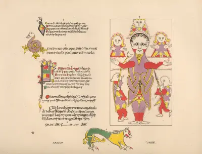 Irish MSS av John Obadiah Westwood