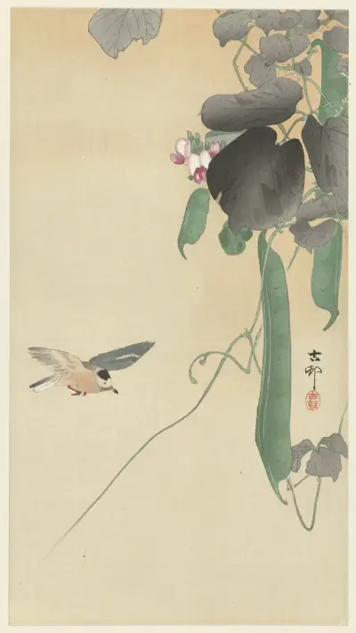 Bird at flowering bean plant av Ohara Koson