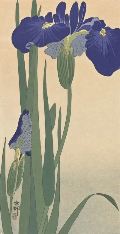 Modré kosatce, Ohara Koson