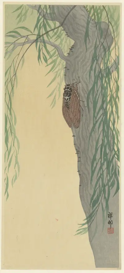 Cikáda na stromě, Ohara Koson