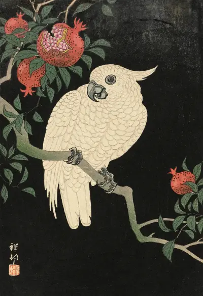 Kakadua och granatäpple av Ohara Koson