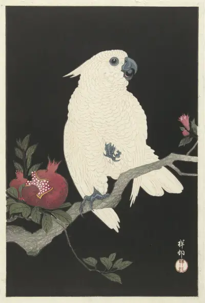 Cockatoo and pomegranate av Ohara Koson