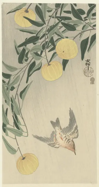 Cuckoo in the rain av Ohara Koson