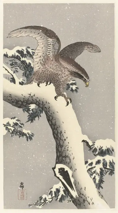 Eagle on snowy pine tree av Ohara Koson