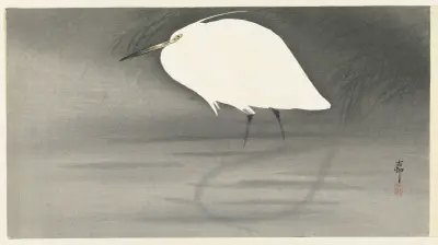Volavka, Ohara Koson