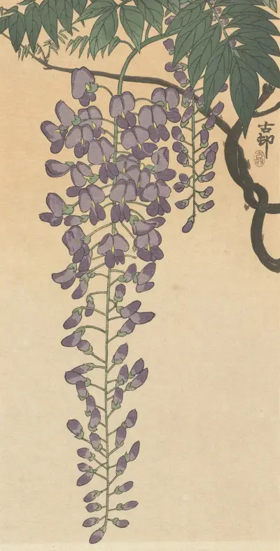 Kvetoucí vistárie, Ohara Koson