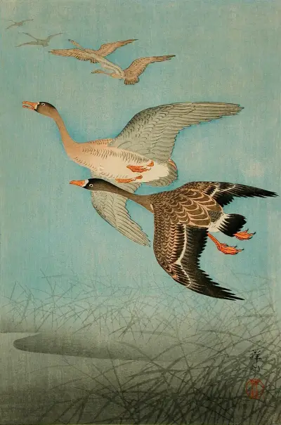 Letící husy, 1926, Ohara Koson