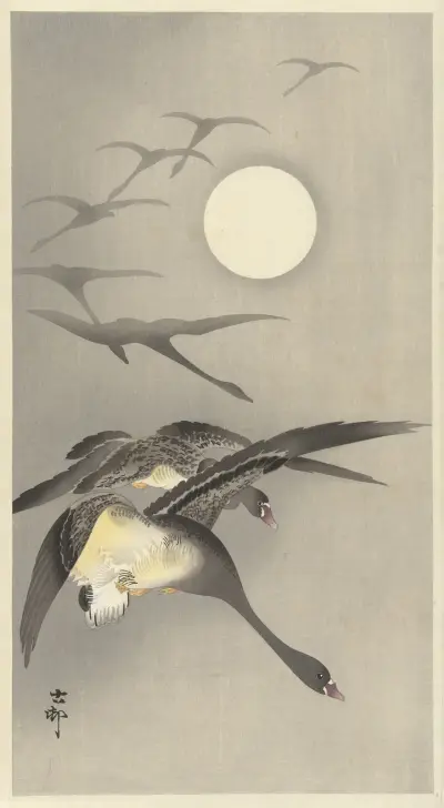 Husgäss vid fullmåne, Ohara Koson