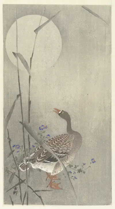 Husa při úplňku, 1900 – č. 1, Ohara Koson